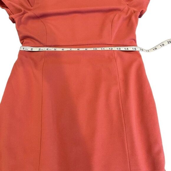 Paper Crown Rose Maternity Sheath Dress Back Zip Ruffle Hem Size Medium - Picture 13 of 15